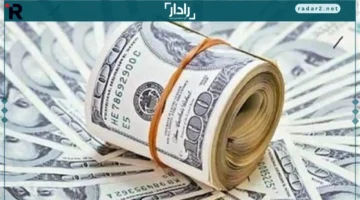 سعر 47.52 جنيه يشعل سوق الشراء اليوم